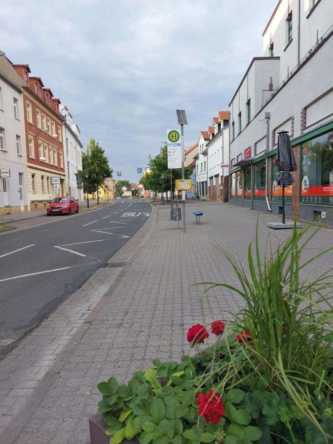 Gemuetliche Vier-zimmer-ferienwohnung 